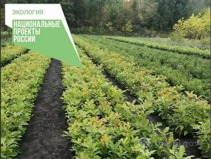 Посадочный область