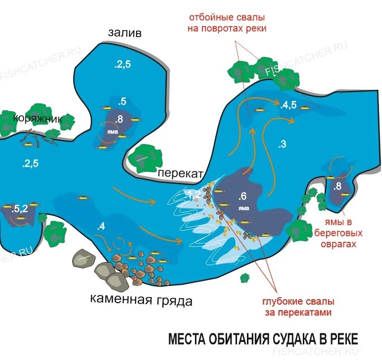 Места обитания судака на реке. Места ловли судака. Место стоянки судака на реке. Места обитания судака зимой.