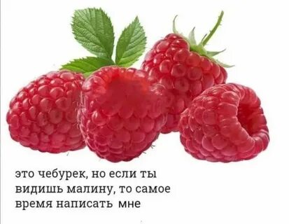 Таңқурай порнографиясы