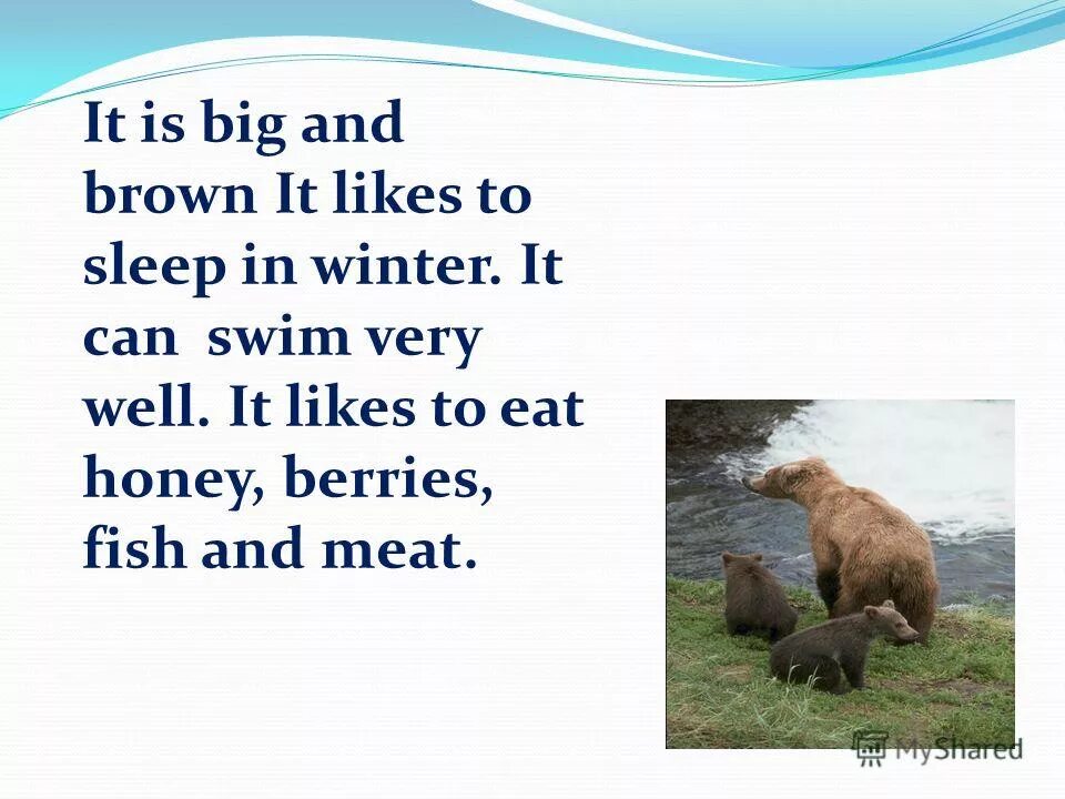 He can swim very fast he. He swim или he swims. I am green перевод. Rat can swim картинка.