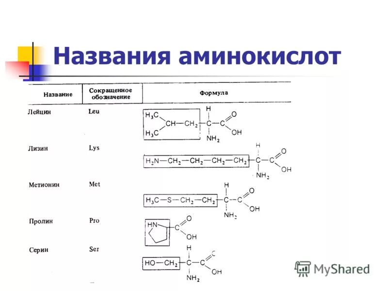 метаболизм высших жирных кислот биохимия. сахароза аминокислота. сахароза аминокислота. образование аминокислот из углеводов. анаболизм и катаболизм схема взаимодействия.
