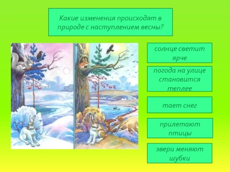 Изменения в неживой природе весной биология 5. Сезонные изменения в природе. Сезонные изменения весной. Сезонныеиминия в природе.