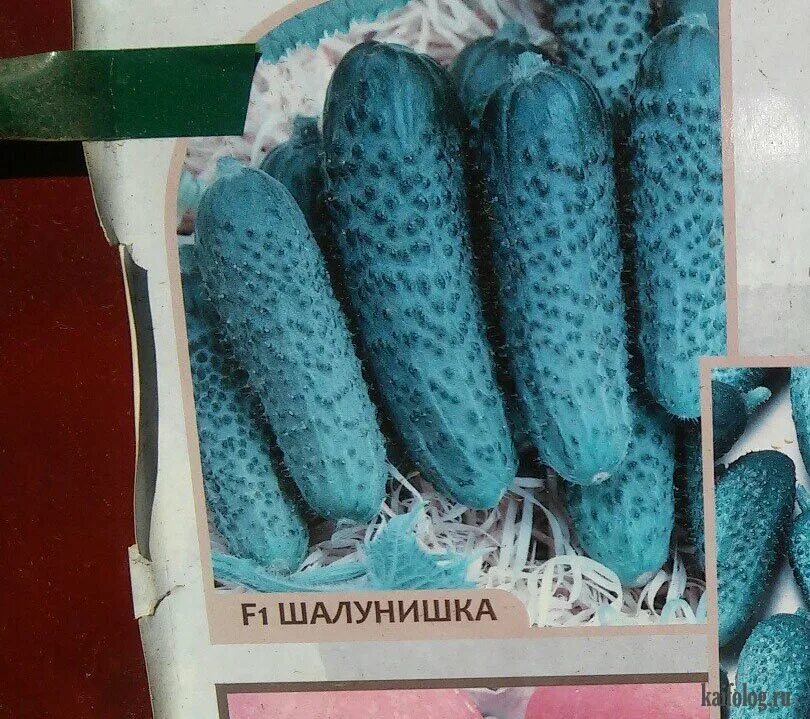 веселые семена