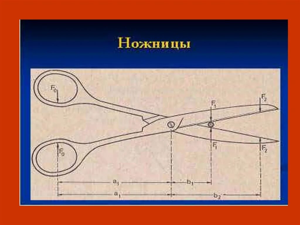 Ножницы рычаг. Ножницы рычаг физика. Ножницы рычаг схема. Плечо у ножниц. Ножницы какой механизм