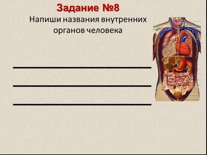 Конкурс органы