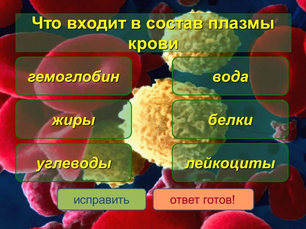 Гемоглобин белок плазмы крови. Белки жиры и углеводы в крови. Белки жиры углеводы состав крови. Что входитьв состав плахмы.