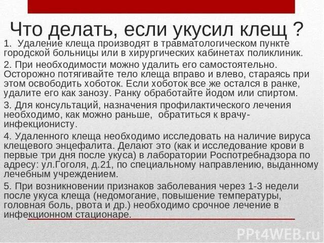 Укусил клещ что принимать взрослым. Что нужно делать при укусе клеща. Что делать если укусил клещ. Что необходимо сделать при укусе клеща. Что нужно сделать при укусе клеща.