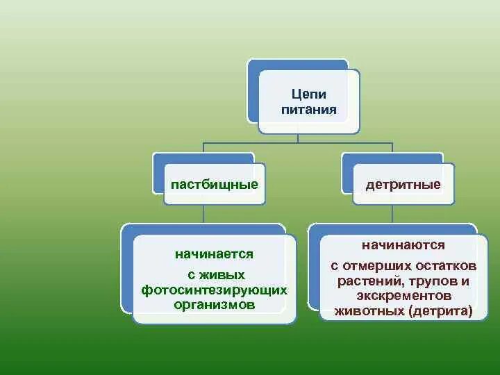 Пастбищное питание пример. Пастбищное питание пример