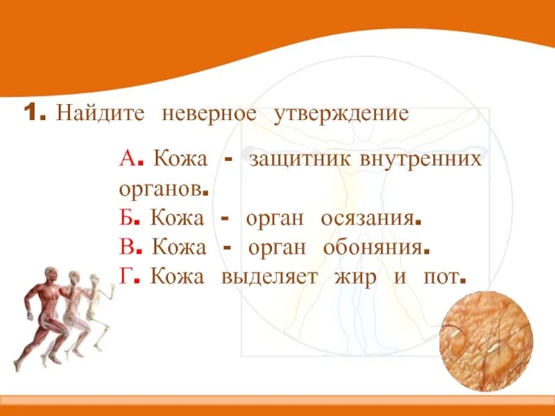 Кожа защитник внутренних органов. Найди неверное утверждение кожи защита внутренних органов. Кожа защитник. Как работает наш организм 3 класс тест