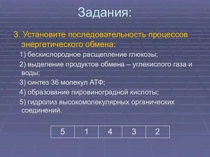 Установите соответствие процессов энергетическому обмену