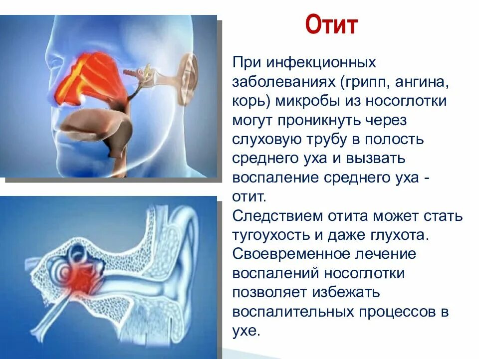 Орган слуха гигиена слуха. Болезни среднего уха презентация. Болезни и гигиена органов слуха. Болезни органов слуха