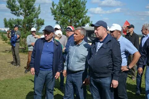 Погода в сарманово на неделю