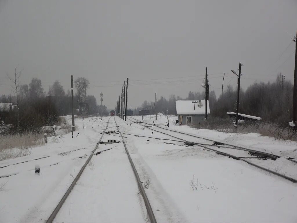 Поезд Окуловка Неболчи. Поселок Неболчи. Станция Неболчи. Поселок Неболчи Новгородской области.