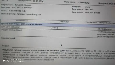 Днк количественно
