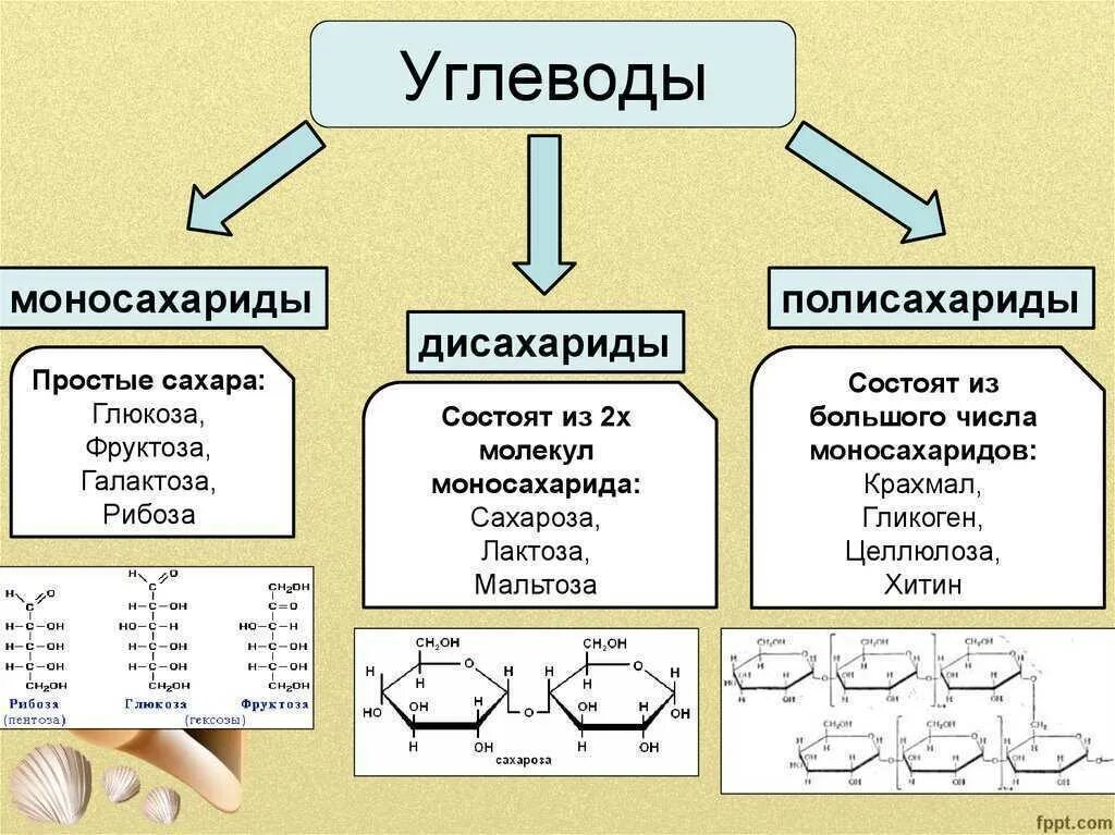 К неорганическим соединениям относятся 1 вариант. Классификация углеводов таблица. Классификация углеводов моносахариды олигосахариды полисахариды. Строение углеводов моносахариды. Углеводы схема строения.