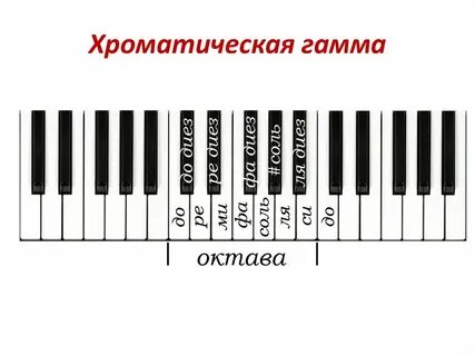 Гамма музыкальных нот 8