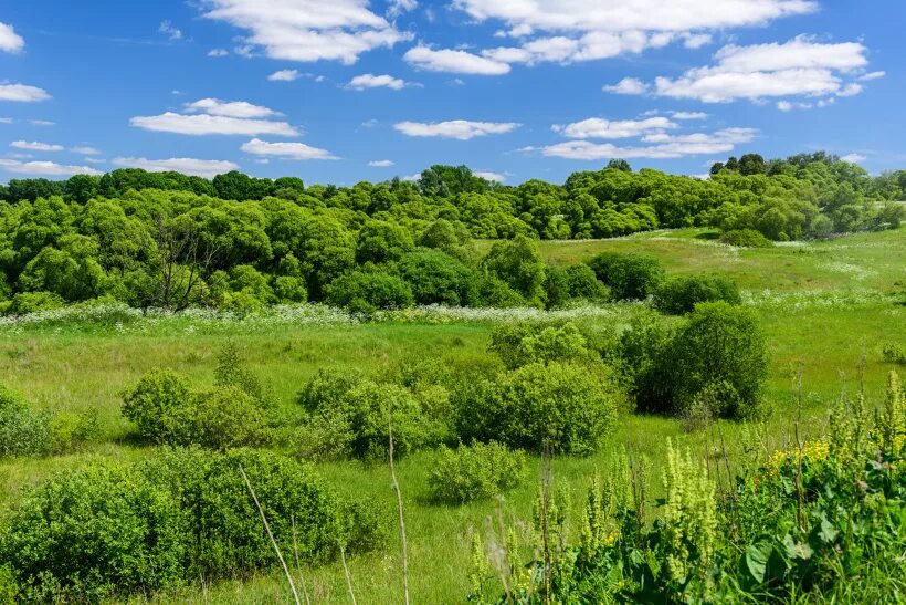 Кузьмищево тарусский. Усадьба Кузьмищево. Деревня Кузьмищево Тарусский район. Село Кузьмищево Тарусского района Калужской области России.. Кузьмищево Тарусский район пляжи на Оке.