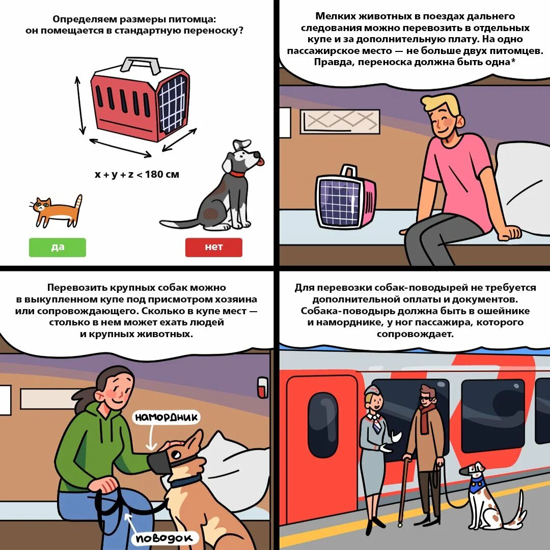 Можно перевозить животных в поезде