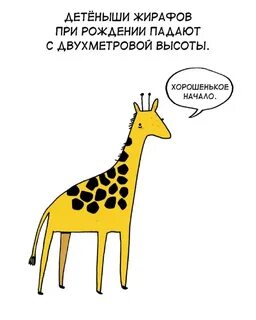 Милые факты