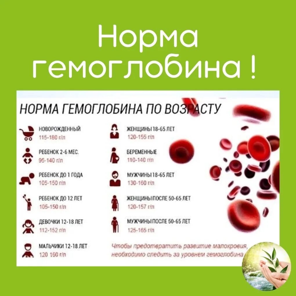 Норма гемоглобина в 3 месяца