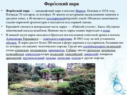 Парк сколько гектар