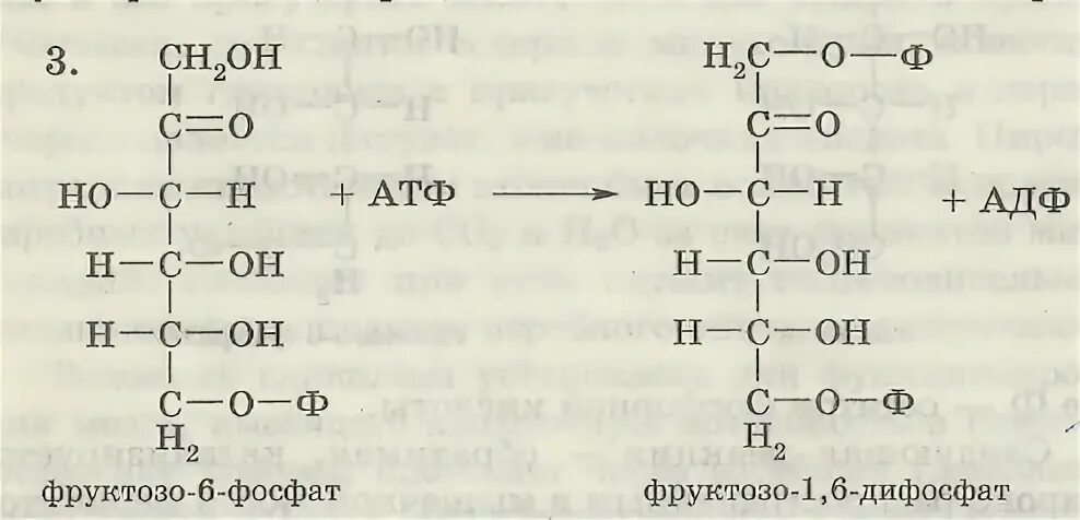 Фруктозо 1 6 дифосфат. Глюкоза 1 6 дифосфат формула. Фруктозо 1 6 дифосфат окисление. Фруктозо-6-фосфат фруктозо-1.6-дифосфат.