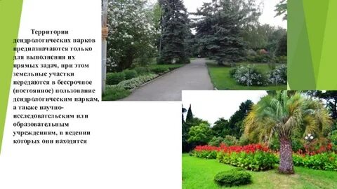 Реферат парка