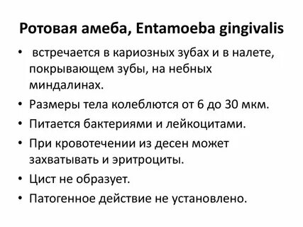 Ротовая амеба человек