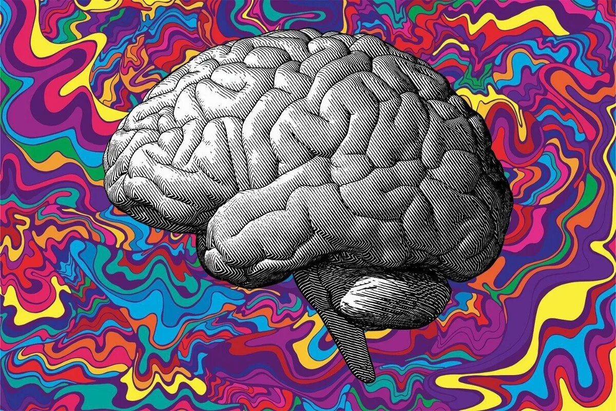 Brain 62. Мозг арт. Мозг психоделика. Красивый мозг. Мозг рисунок.