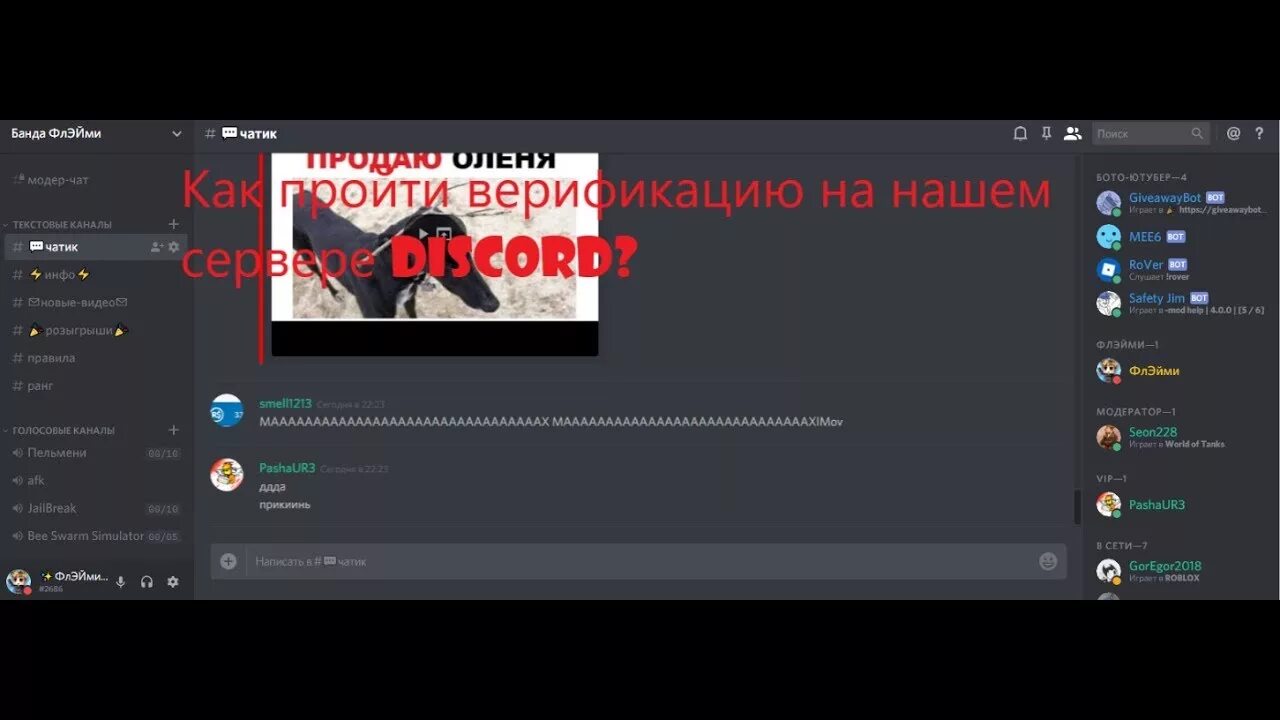 Как проходить верификацию в дискорде. Верифицированный сервер дискорд. верификация в дискорде. как пройти верификацию в дискорд. как пройти верификацию в дискорде на сервере.