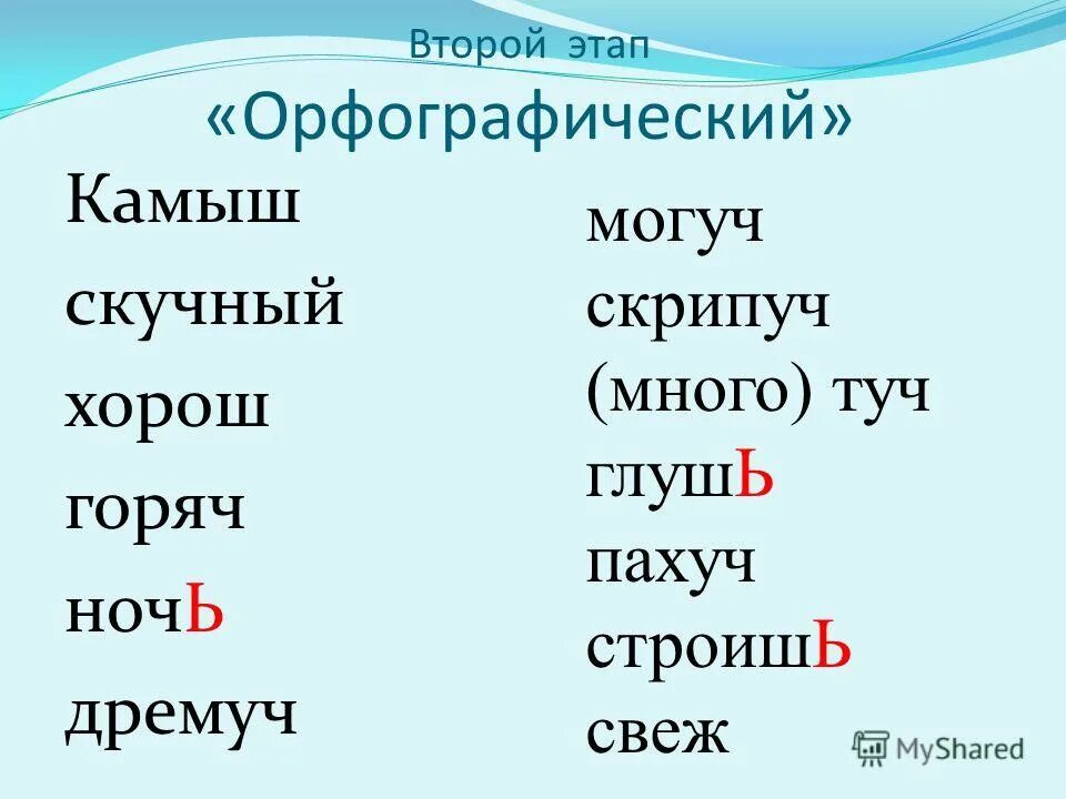 324. Шалаш проверочное слово. Могуч дремуч шалаш. Луч ёрш ночь ландыш. Шалаш товарищ.