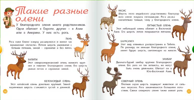 Пальчиковая гимнастика олень. Стих про оленя. Загадка об олене для детей. Олень задание. Стих про оленя для детей.