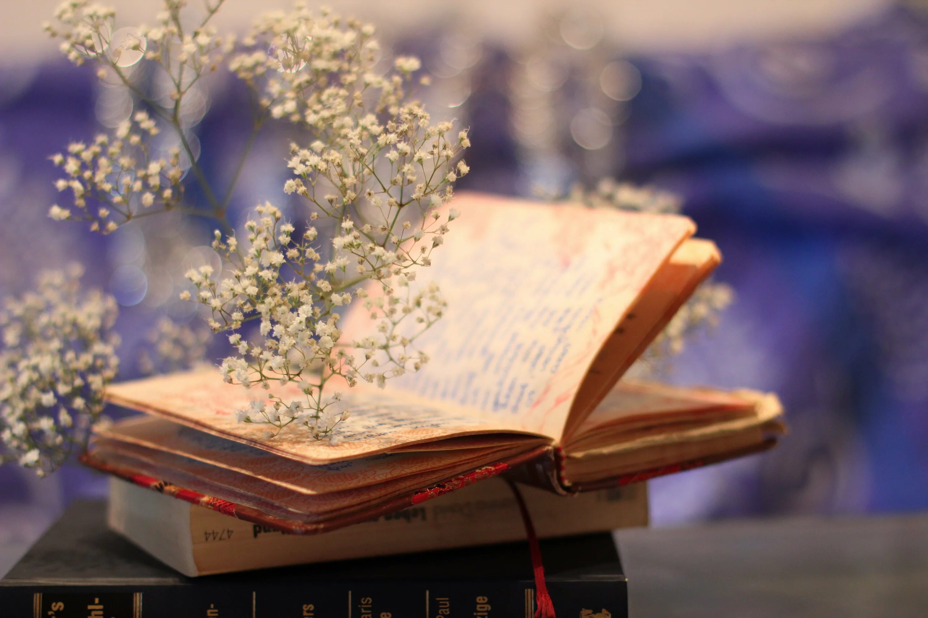 Книга цветы. Высказывания о поэзии. Поэзия картинки. Открытка с книгами. Волшебство поэзии.