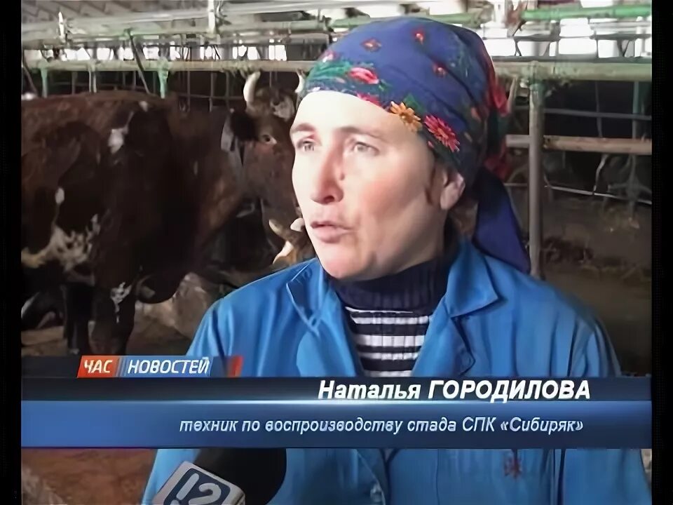 Почта спк. Спк сибиряк москаленский район. 12 канал спк сибиряк. шачнев спк сибиряк. ильичевка спк &quot;сибиряк&quot;.