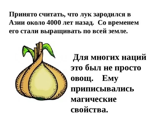 Лук от семи недуг значение. Лук от семи недуг исследовательская. лук от семи недуг исследовательская работа. лук - от семи недуг. объяснение. исследовательская работа про лук.
