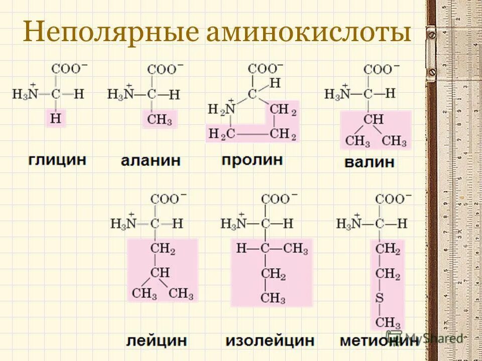 Состав радикалов аминокислот