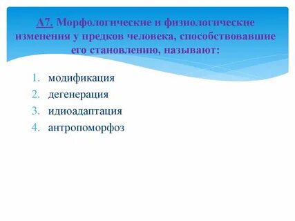 Какими воспринимал прадед людей с высоты