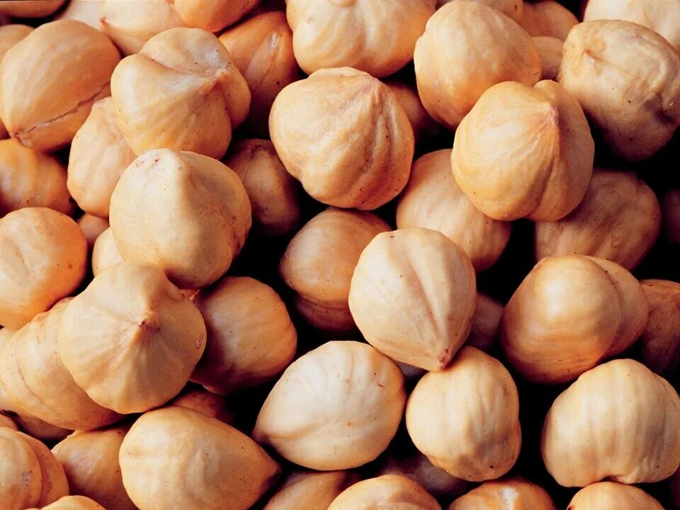 орехи во сне. грецкий орех чили. орехи во сне. плесень на арахисе. орехи во сне.