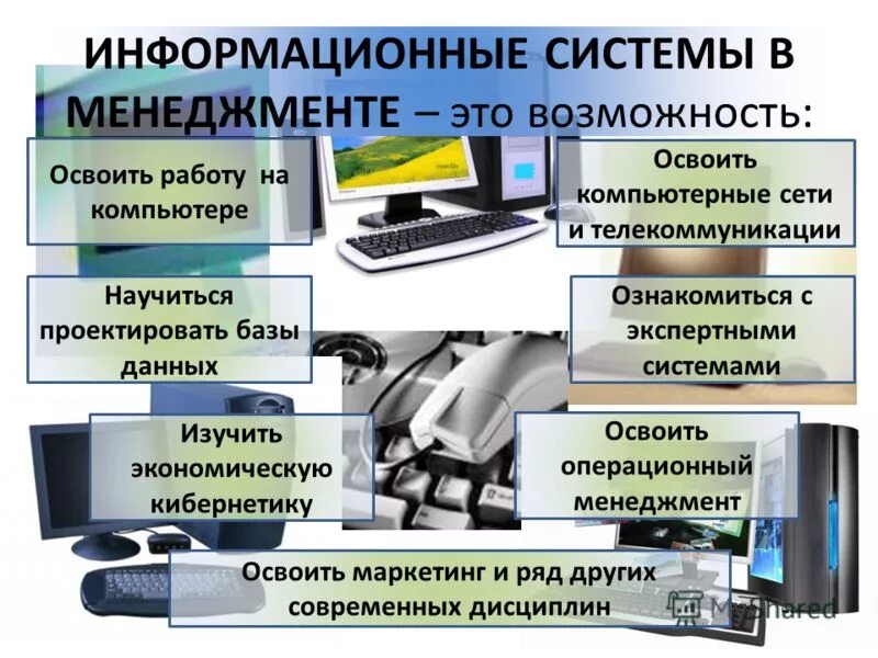 Сайте ознакомиться с информацией. Кибернетик интернет магазин Санкт Петербург. Экономическая кибернетика.