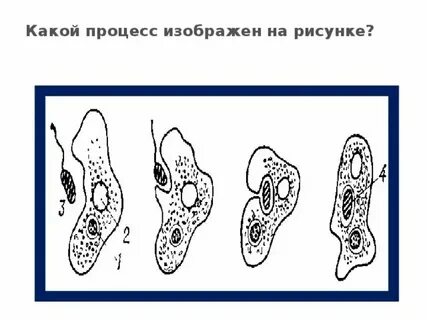 Какие изображенные процессы относятся