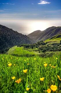 Nature big