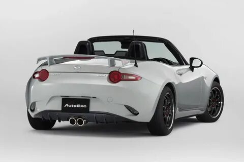 Auto exe