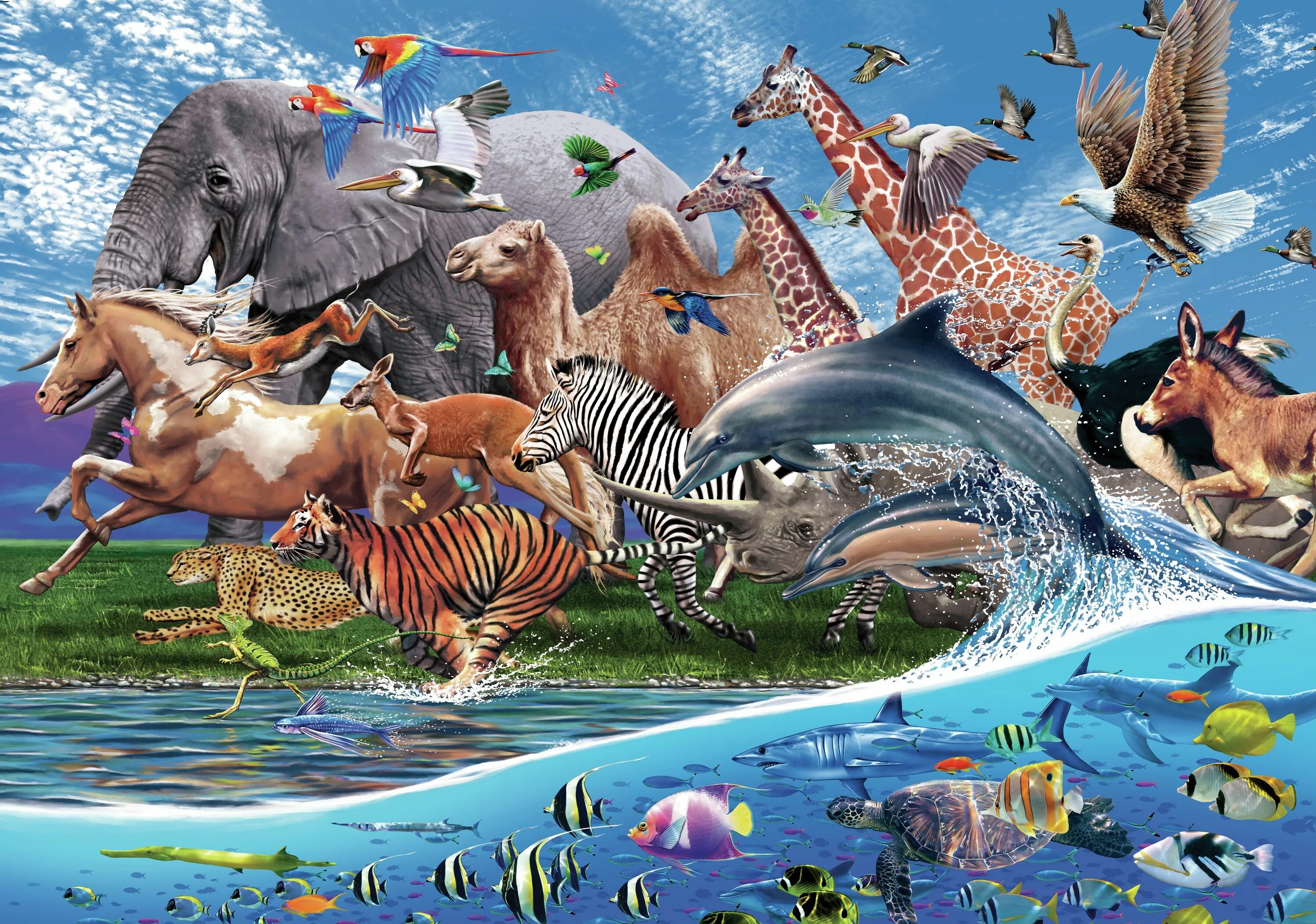 Планета животных. Животные много на картинке. Разнообразие животных. New animal world. Animal world tot.