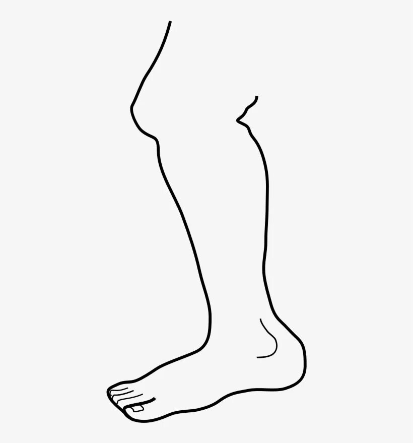 Ноги раскраска. Нога раскраска для детей. Контур ноги. Стопа человека. Leg colour