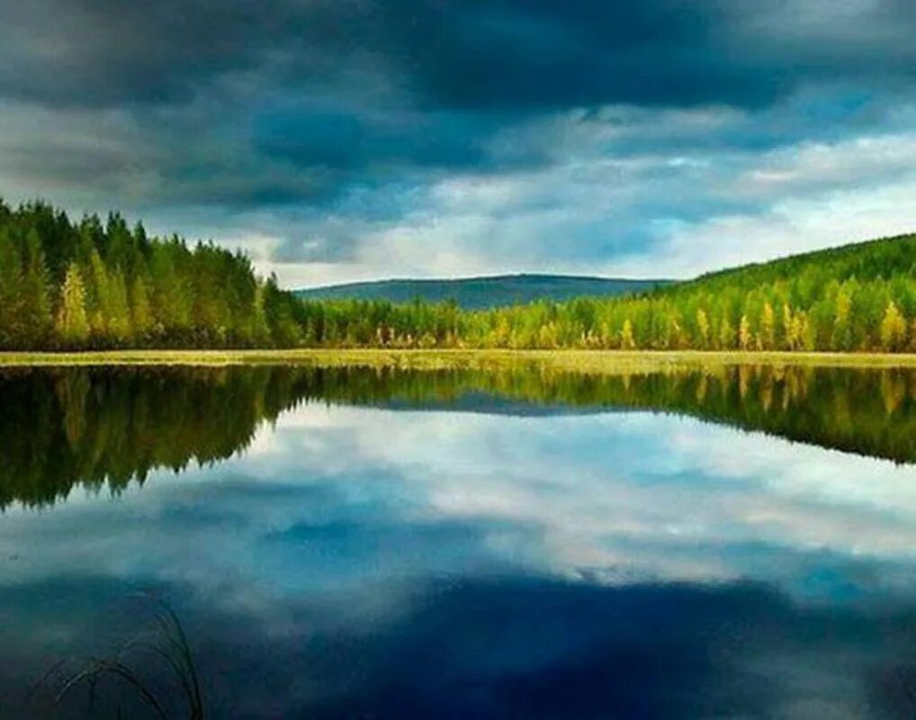 Озеро виви россия. Озеро Виви Красноярский край. Берег озеро Виви Красноярский край. Озеро Виви в Красноярском крае. Река Виви.