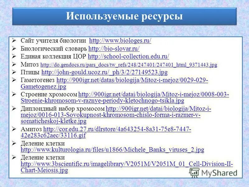 Мейоз тест 10 класс биология