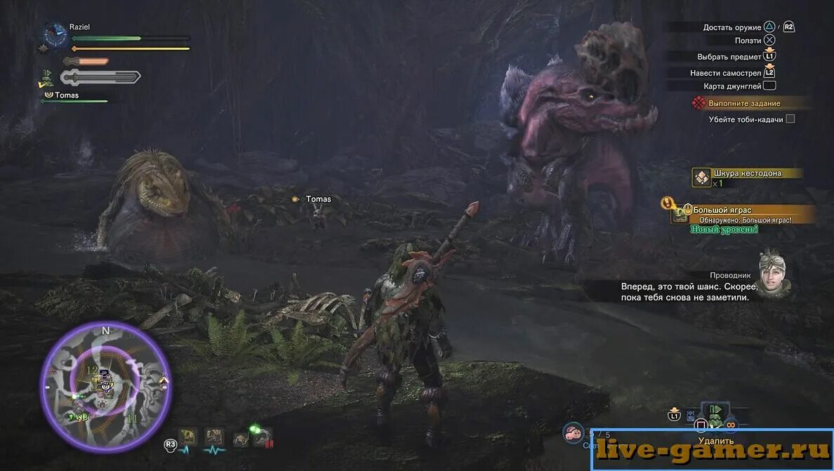 Monster hunter world как поймать монстра. Monster hunter wii. Monster hunter world как поймать монстра. Monster hunter world большой яграс. Яграс.