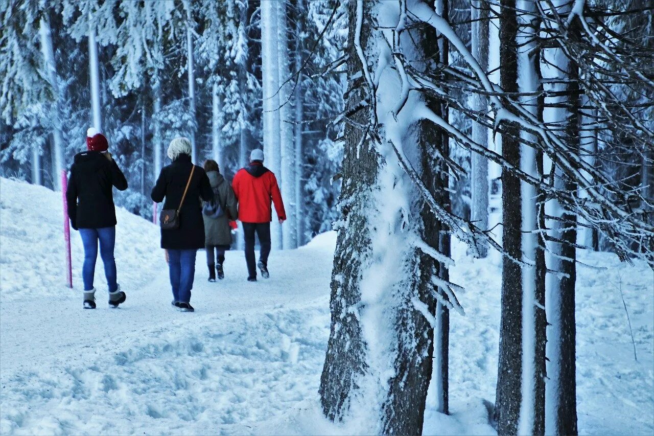 В лесу зимой можно. Прогулка зимой. Человек в зимнем лесу. Прогулка по зимнему лесу. Прогулка в лесу зимой.