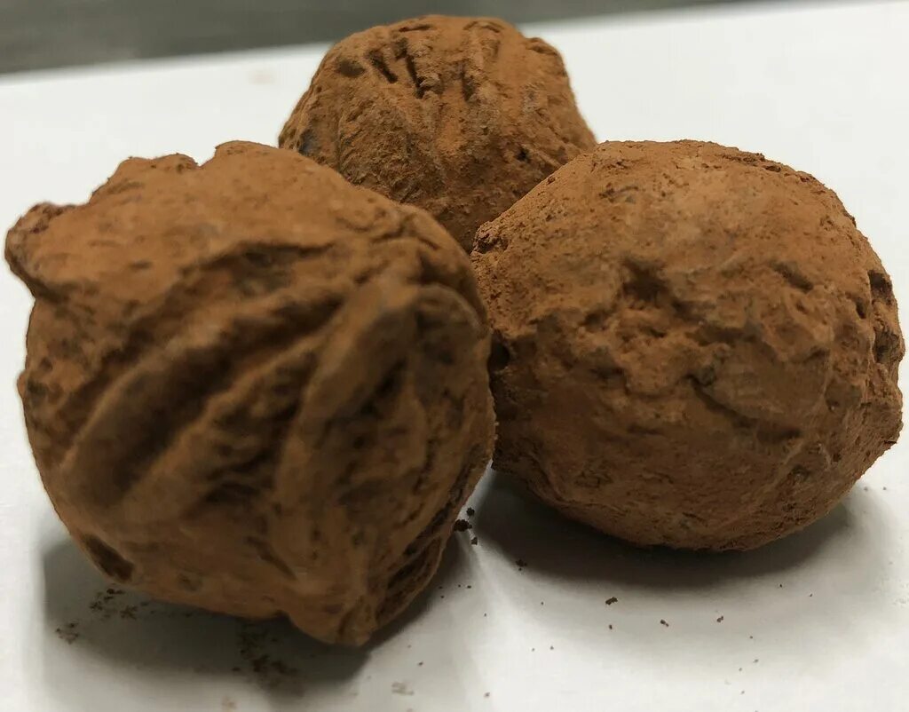 трюфель летний – tuber aestivum. французский трюфель гриб. салон релевант. трюфель (грибы). шоколадные трюфели.