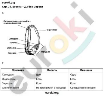 Биология 6 класс стр 14